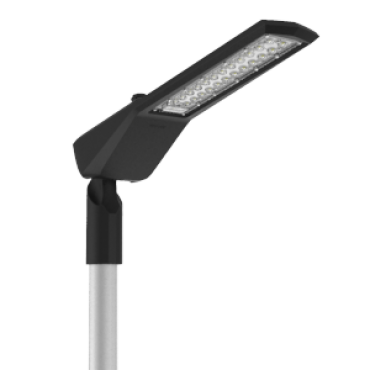 product's name