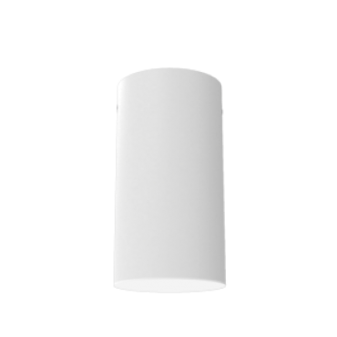 product's name