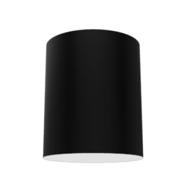 product's name