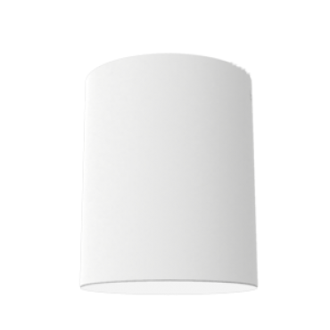 product's name