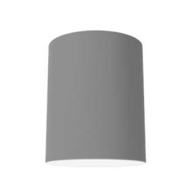 product's name