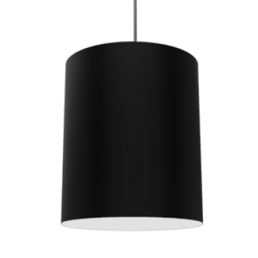 product's name