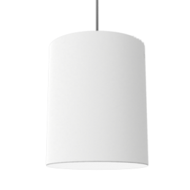 product's name