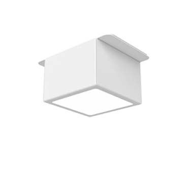 product's name