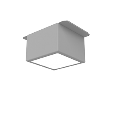 product's name