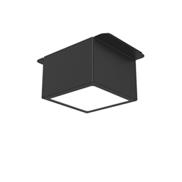 product's name
