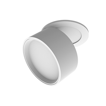 product's name