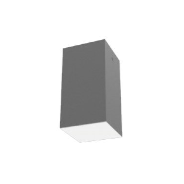 product's name
