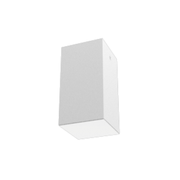 product's name