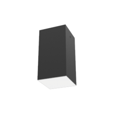 product's name