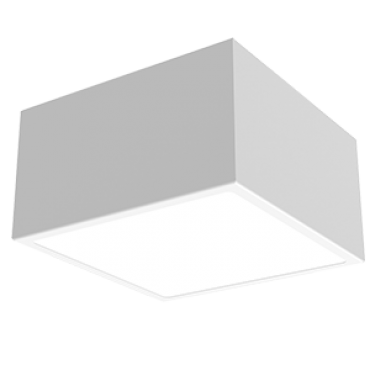 product's name