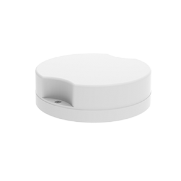 product's name