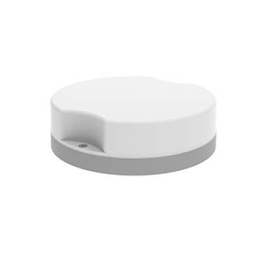 product's name