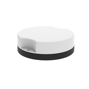 product's name
