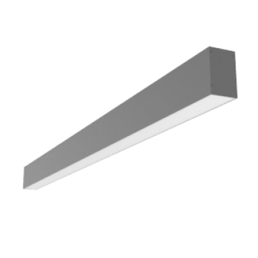 product's name