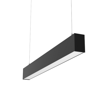 product's name