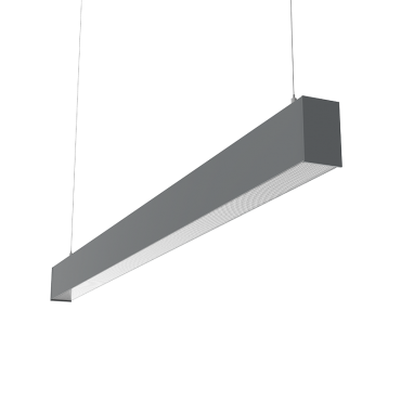 product's name