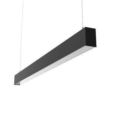 product's name