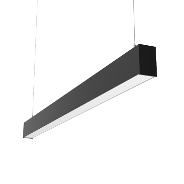 product's name