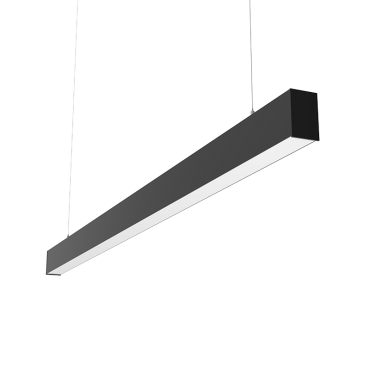 product's name