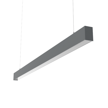 product's name