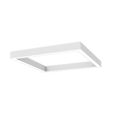 product's name