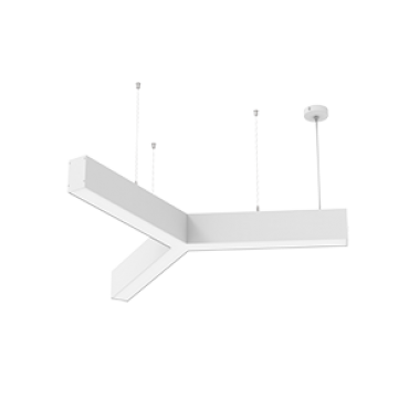 product's name