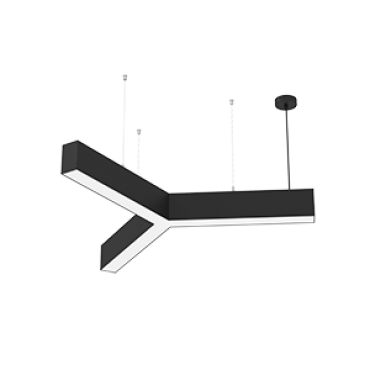 product's name