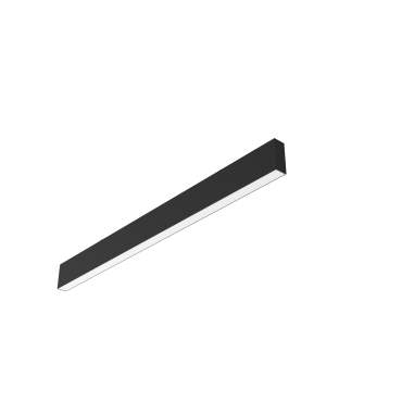 product's name