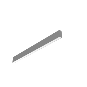 product's name