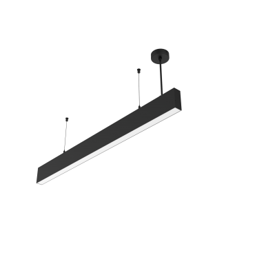 product's name
