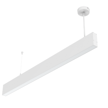 product's name