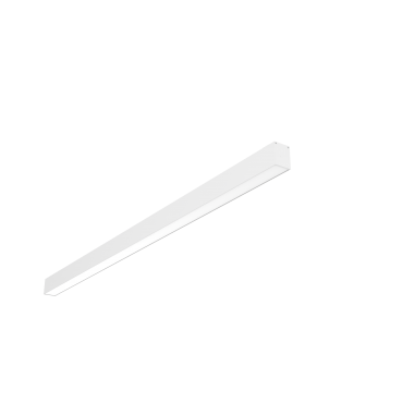 product's name