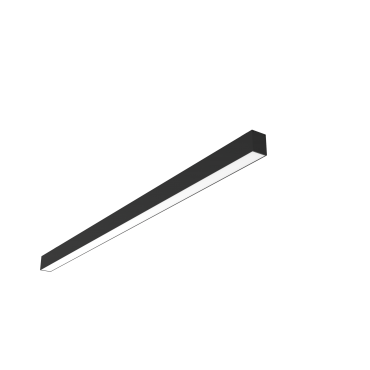 product's name
