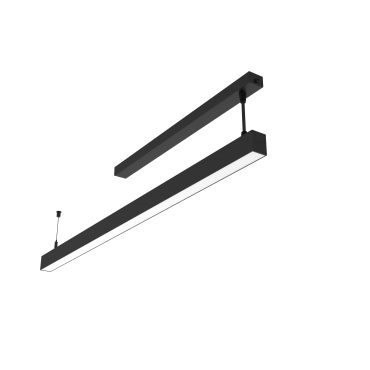 product's name