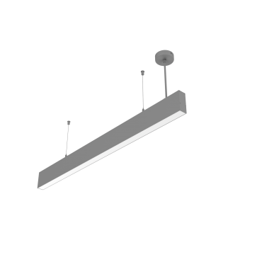 product's name