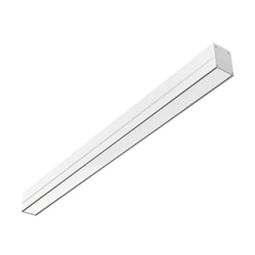 product's name