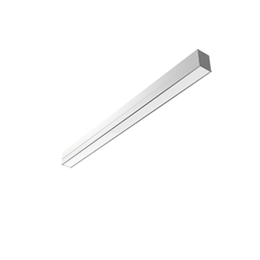 product's name