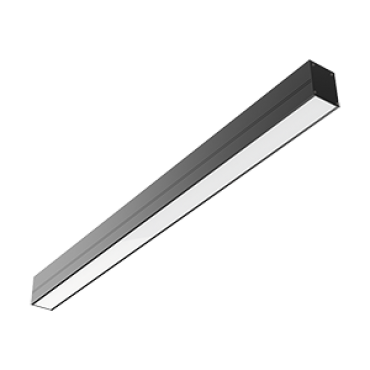 product's name