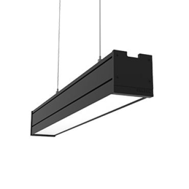 product's name