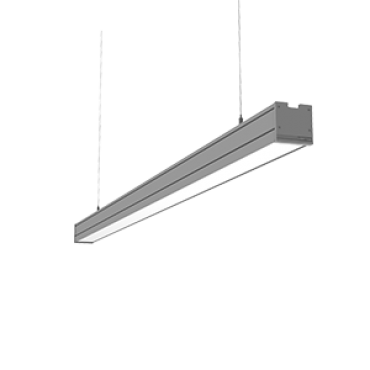 product's name