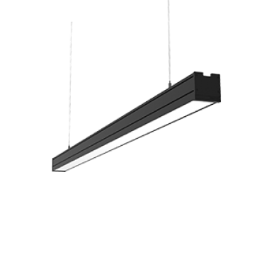 product's name