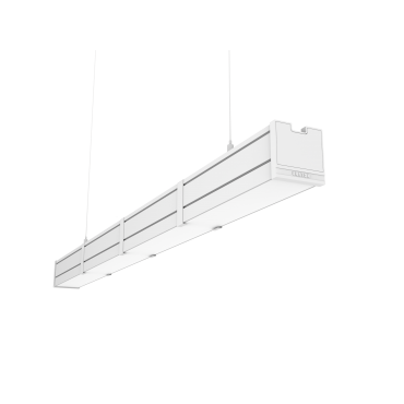 product's name