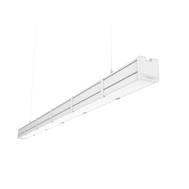 product's name