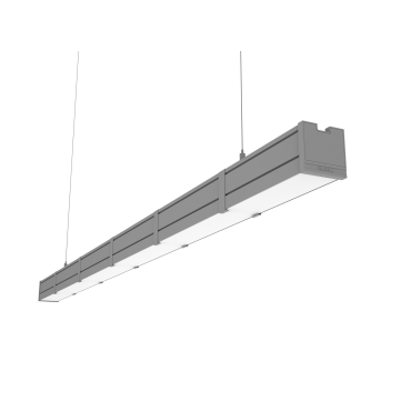 product's name