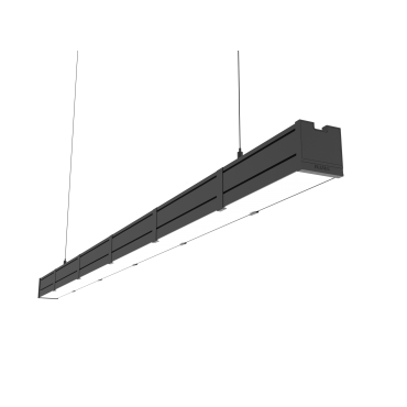 product's name