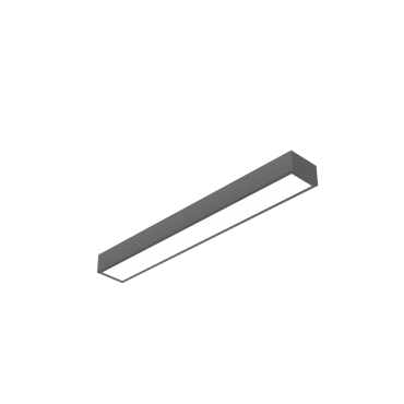 product's name
