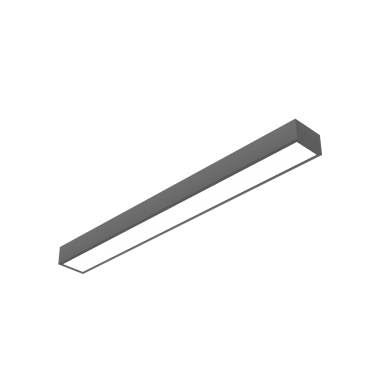 product's name
