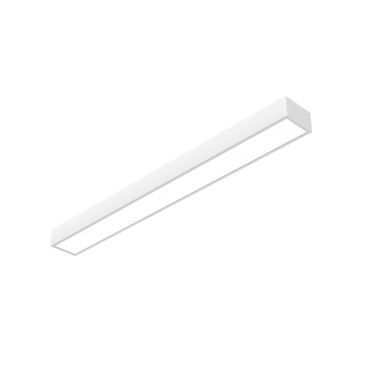 product's name