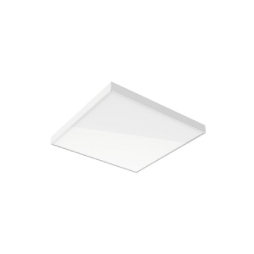 product's name